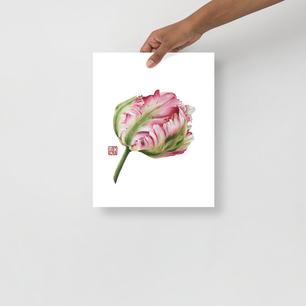 Parrot Tulip #1