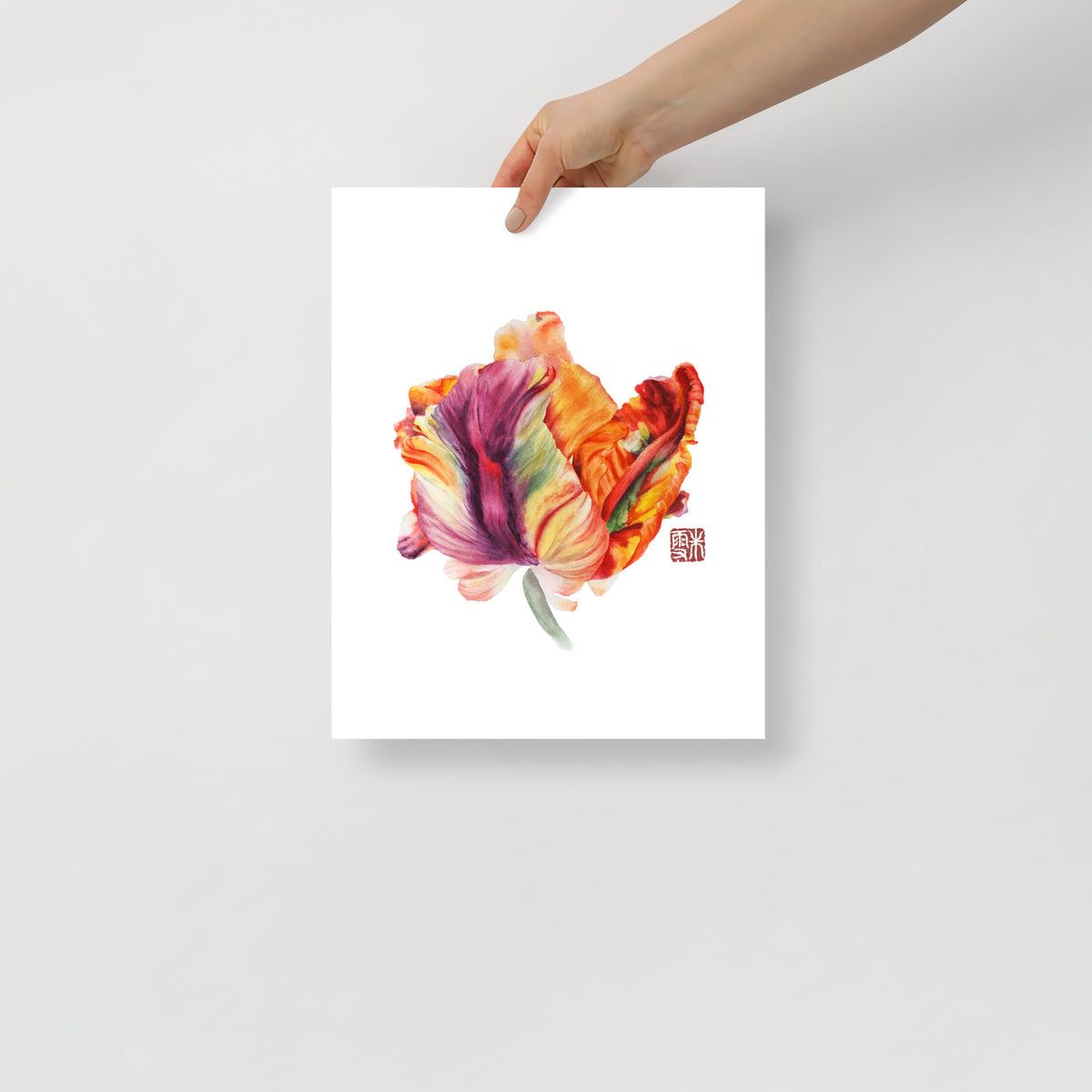 Parrot Tulip #2