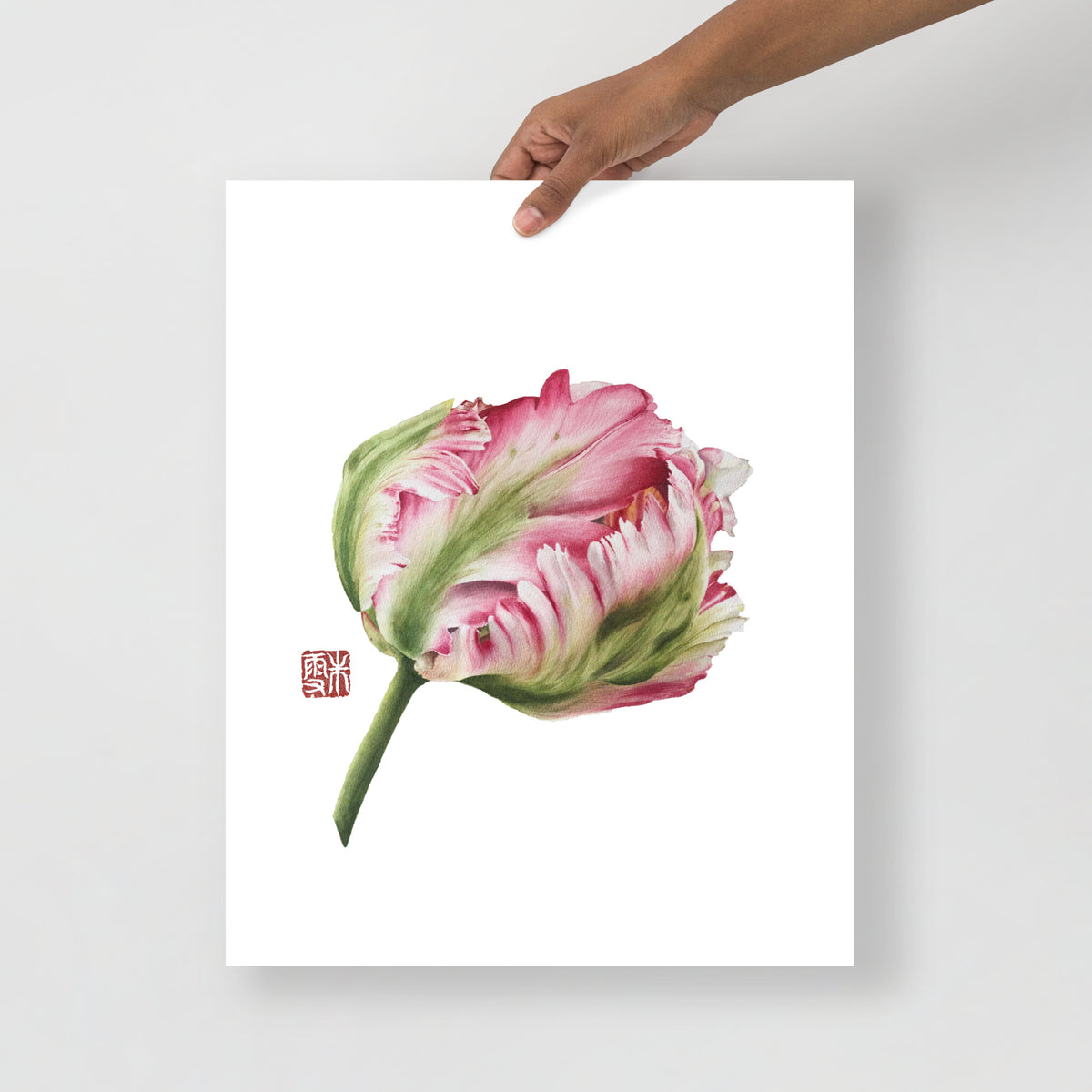 Parrot Tulip #1