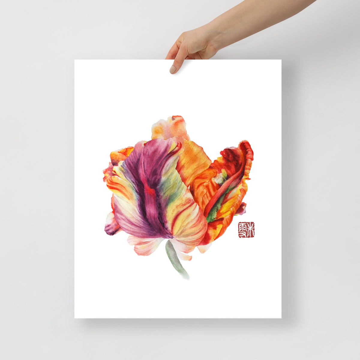 Parrot Tulip #2