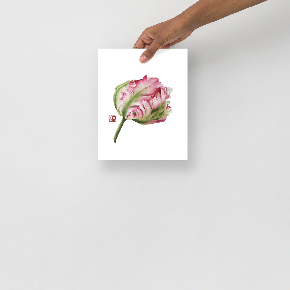 Parrot Tulip #1