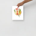 Parrot Tulip #3